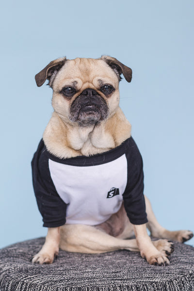 Shopi-Doge Tee